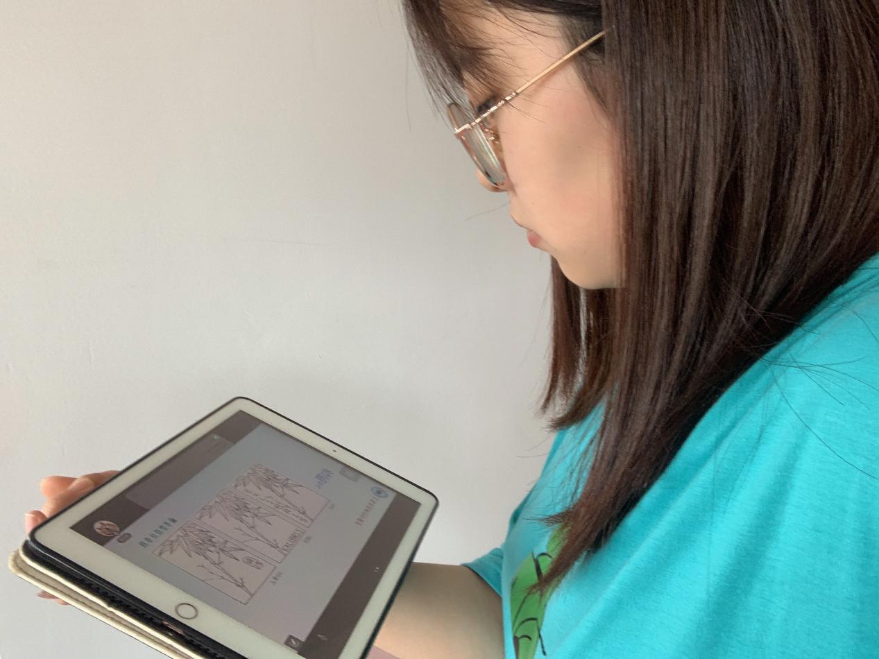 【博学广志】研评促成长 百草润童心——金小广志路校区美术组线上教研活动（四）_html_m799cc169.jpg