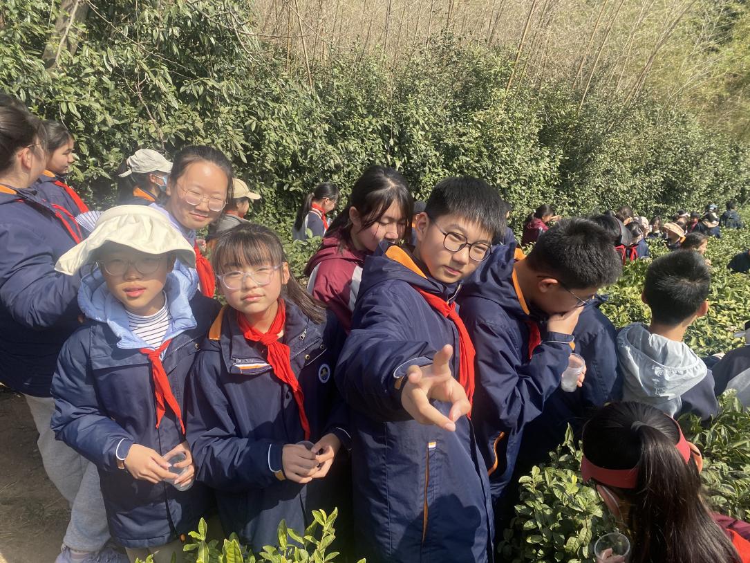 【湖畔·学生活动】走进春天 走进茶香 走进信仰——金陵小学（仙林湖校区）六年级春季综合实践活动_html_m8a1c430.jpg