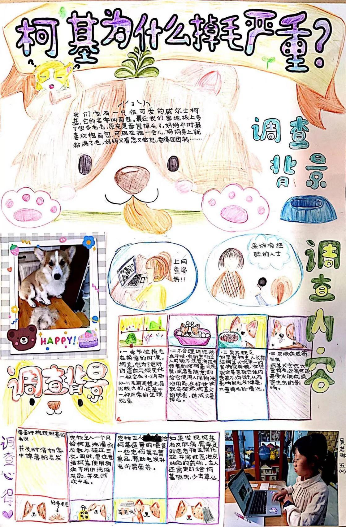 图片28.png