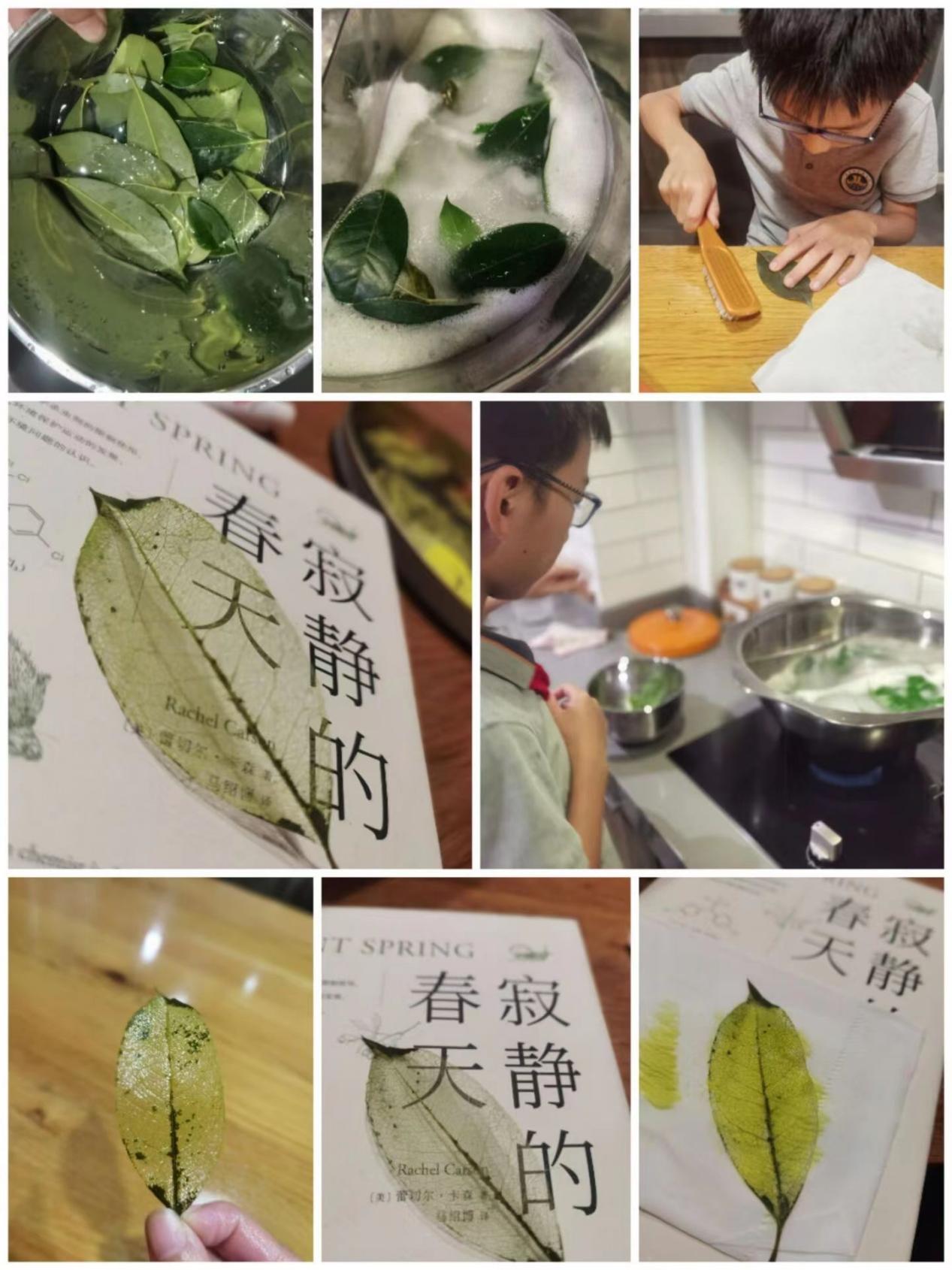 【博学广志】乘“实践”之舟踏浪 扬“素养”之帆远航——科学组校本主题研修活动学生成果板块（五年级）_html_2db42b2c.jpg