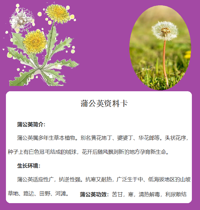 【博学广志】科普筑梦广志路，飞舞旅行蒲公英(1)_html_1a77769a.png