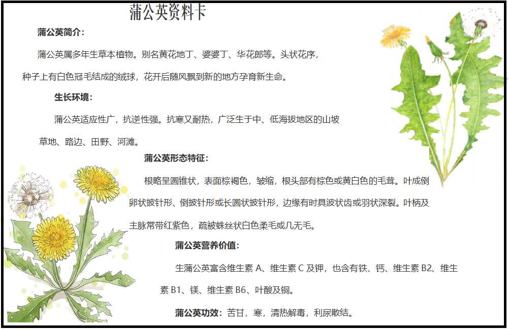 【博学广志】科普筑梦广志路，飞舞旅行蒲公英(1)_html_3cf47914.png