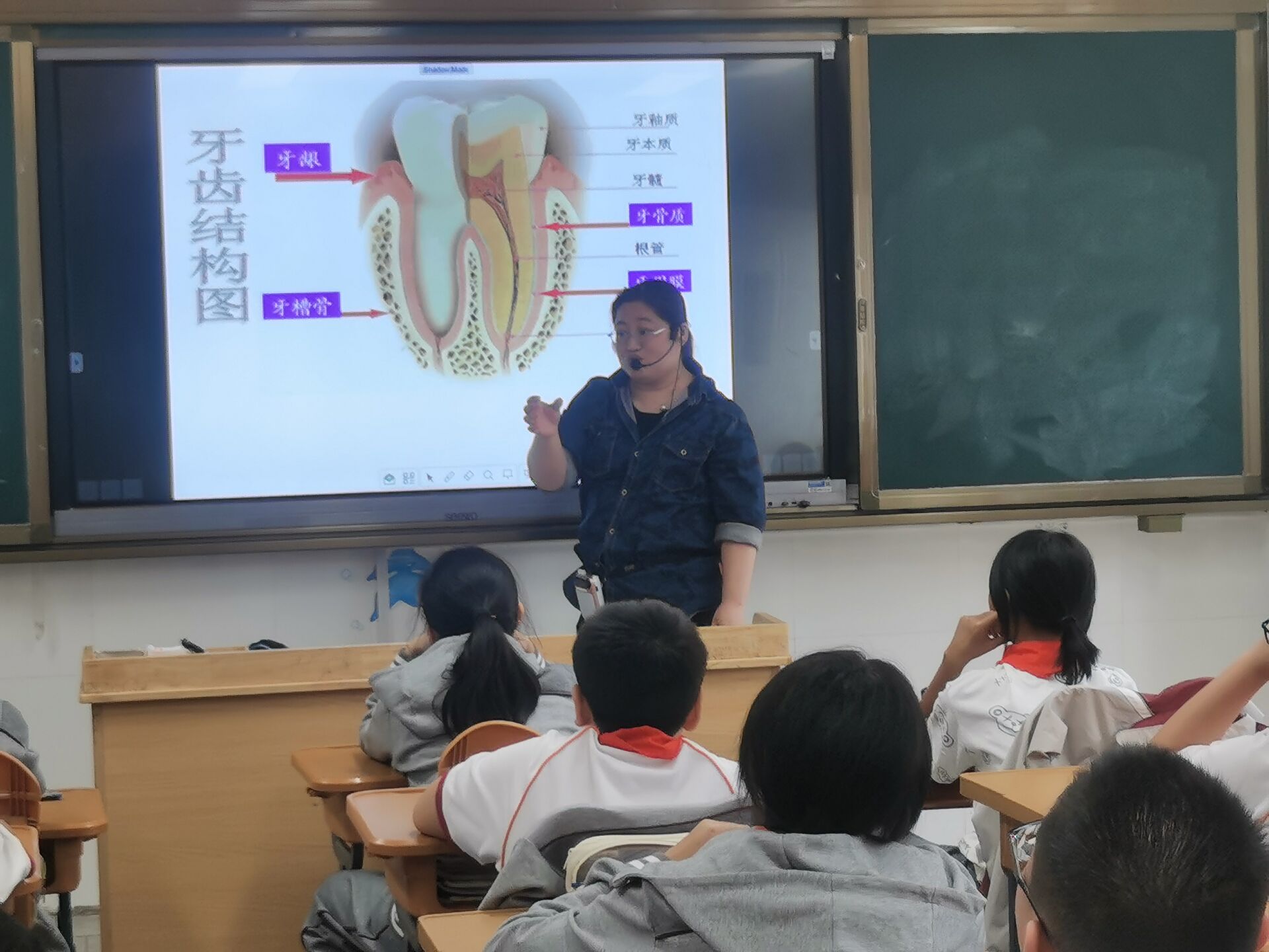 口腔健康  全身健康_html_m3dee4665.jpg
