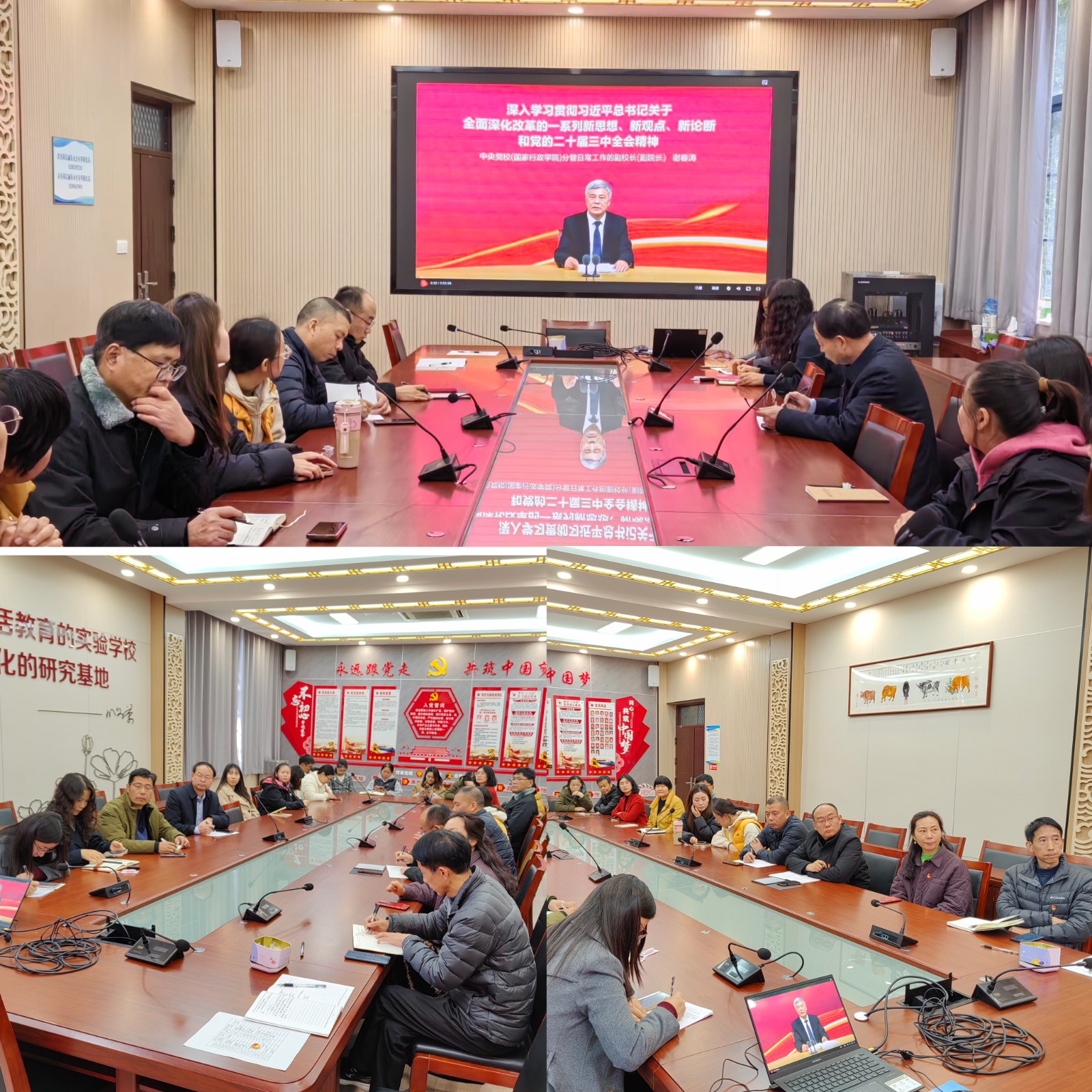 【燕小党建】深化理论素养 筑牢思想根基——燕子矶中心小学第一党支部十二月主题党日活动