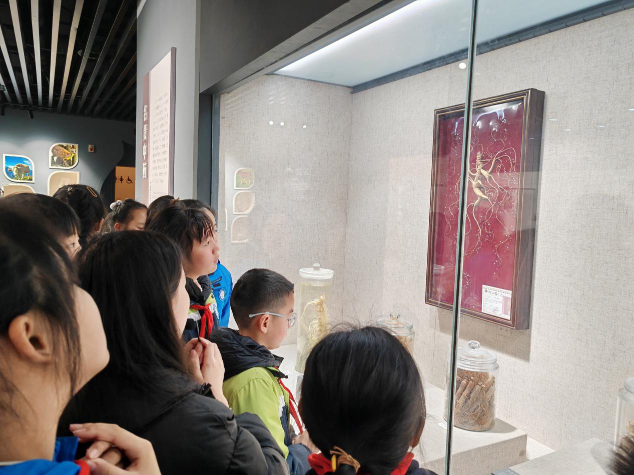 博览中医文化 弘扬国粹经典_html_5044937f.jpg