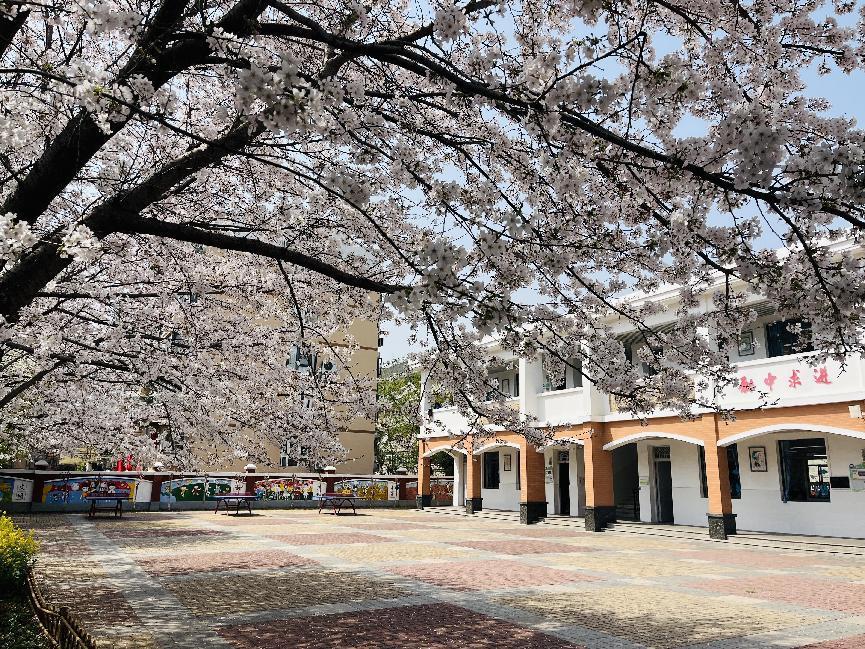 幕府山庄小学春日美景报道（二）_html_m59989b2.jpg
