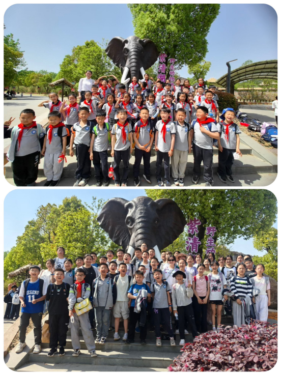 春游紫清湖新闻稿_html_m60a88538.png