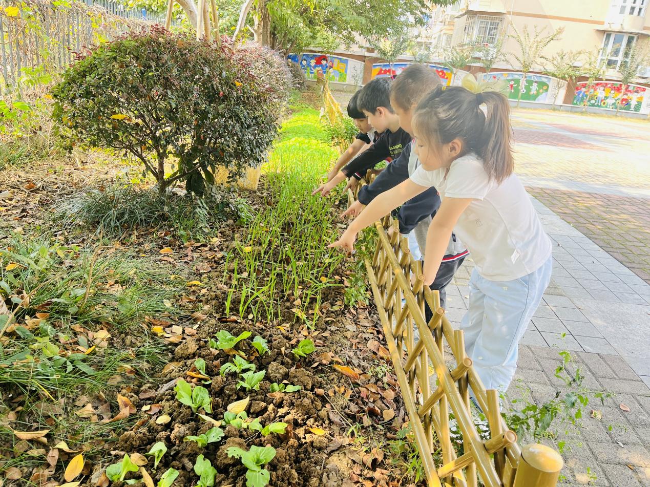 幕小劳动教研组新闻报道1_html_46550dc1.jpg