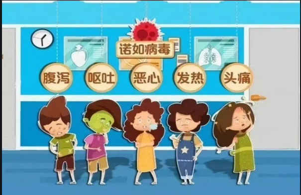 6.png