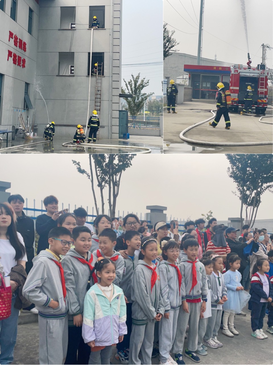 图片7.JPG 图片7.JPG