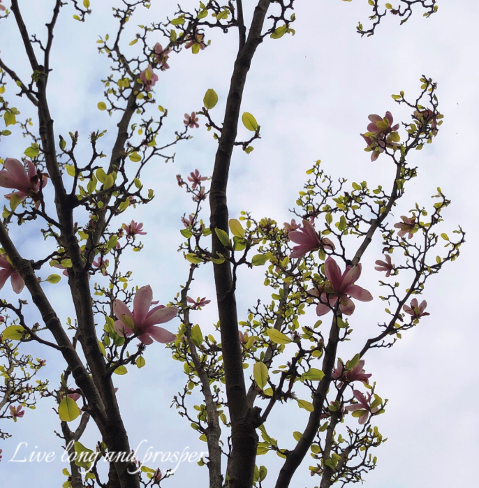 BPZPMU}P9OG7%DR5D[4U0G1.png BPZPMU}P9OG7%DR5D[4U0G1.png