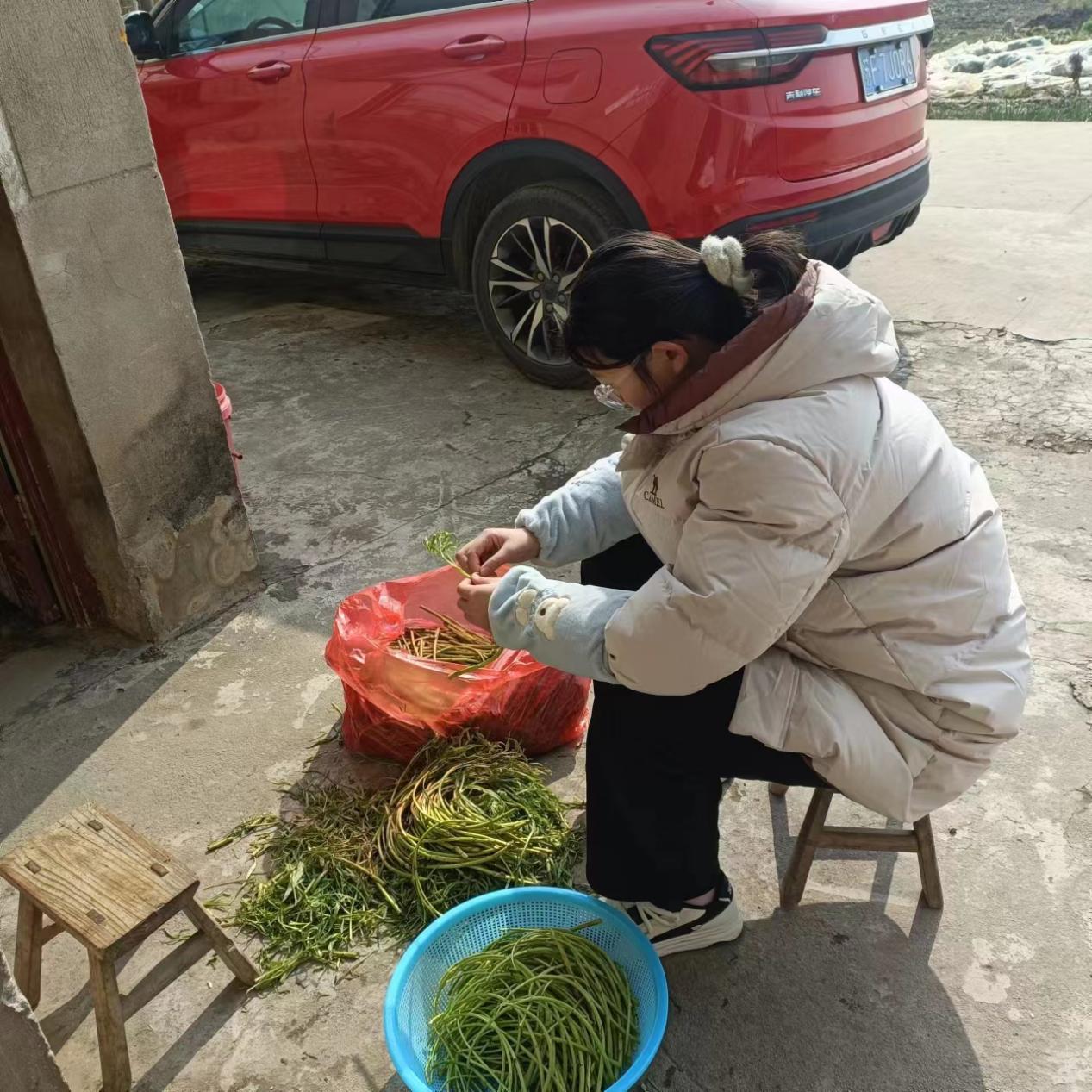 劳动中的年味，团圆中的温情_html_m1505fb03.jpg
