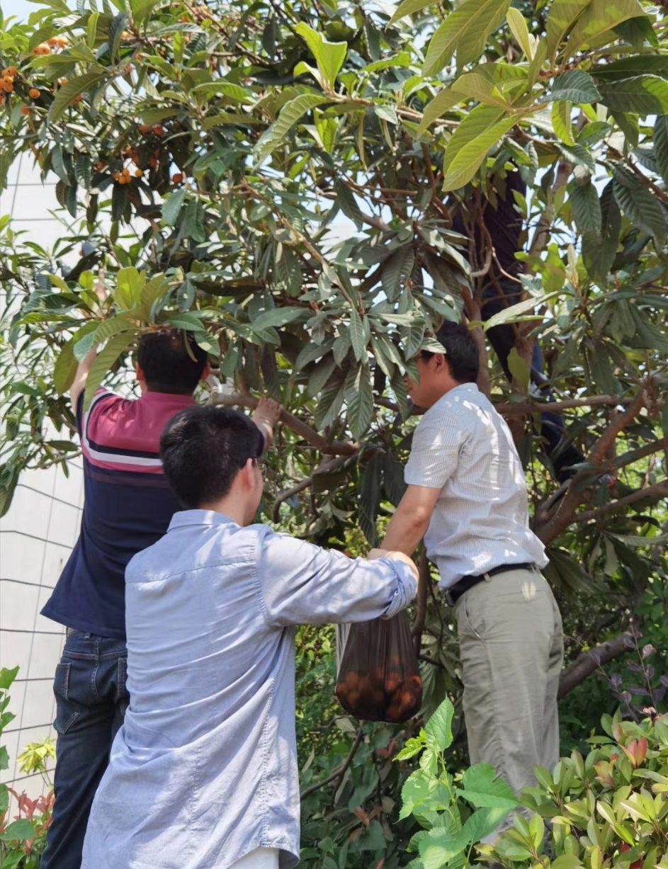 跬步不休九转功成记2017届中桥中学优秀毕业生风采文稿_html_455b8c3f.jpg
