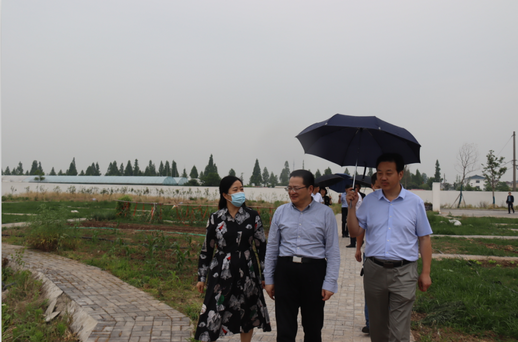 绿意盎然迎贵客 合作交流开新篇--5.19葛军校长参观实践基地_html_m638cb2e8.png