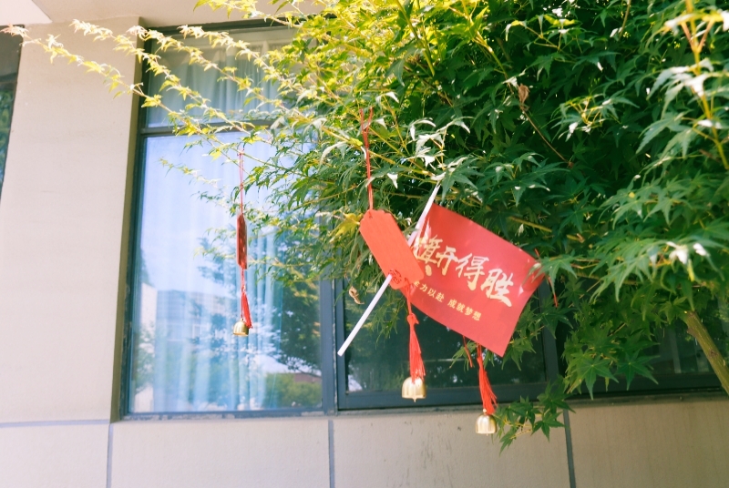 20250618送考新闻稿_html_m43e215b4.jpg