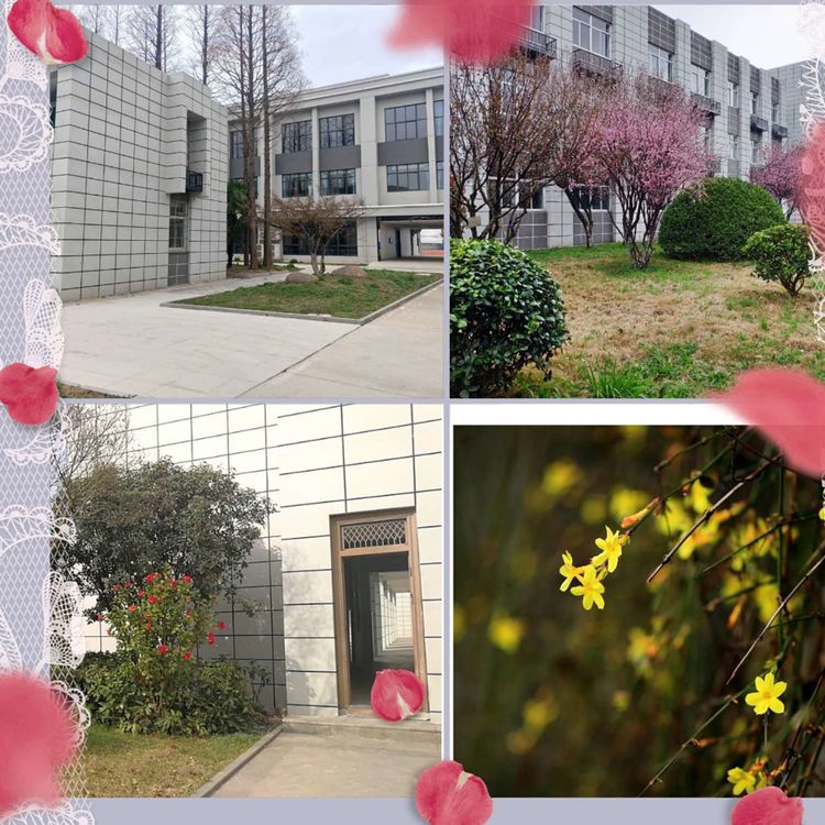 中桥中学2019-2020学年第二学期教学视导活动2020.4.13_html_57ac3509.jpg
