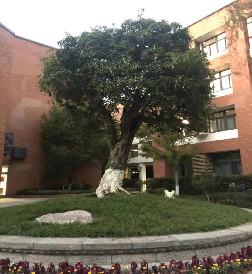 5优美环境建设好_html_m4385a080.jpg