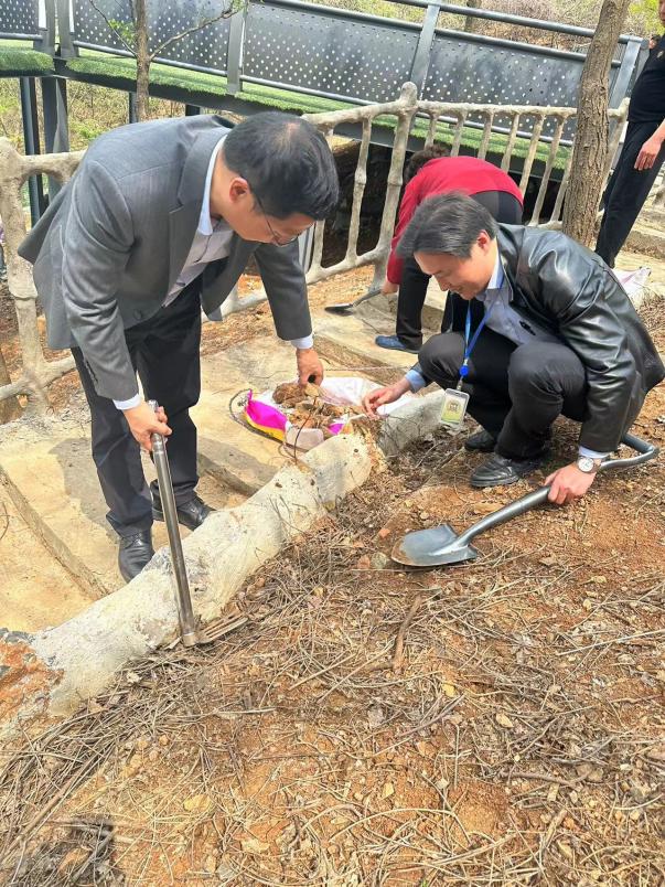 【石抱树·先锋行】南京市金陵小学和园校区三个党支部劳动教育主题党日_html_m1fa3ec7a.jpg