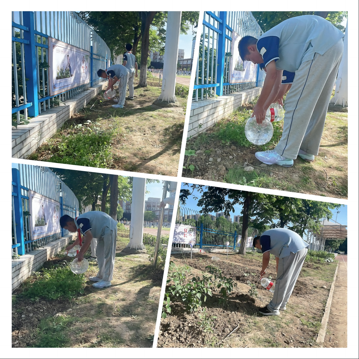 04 浇水(1).png 04 浇水(1).png