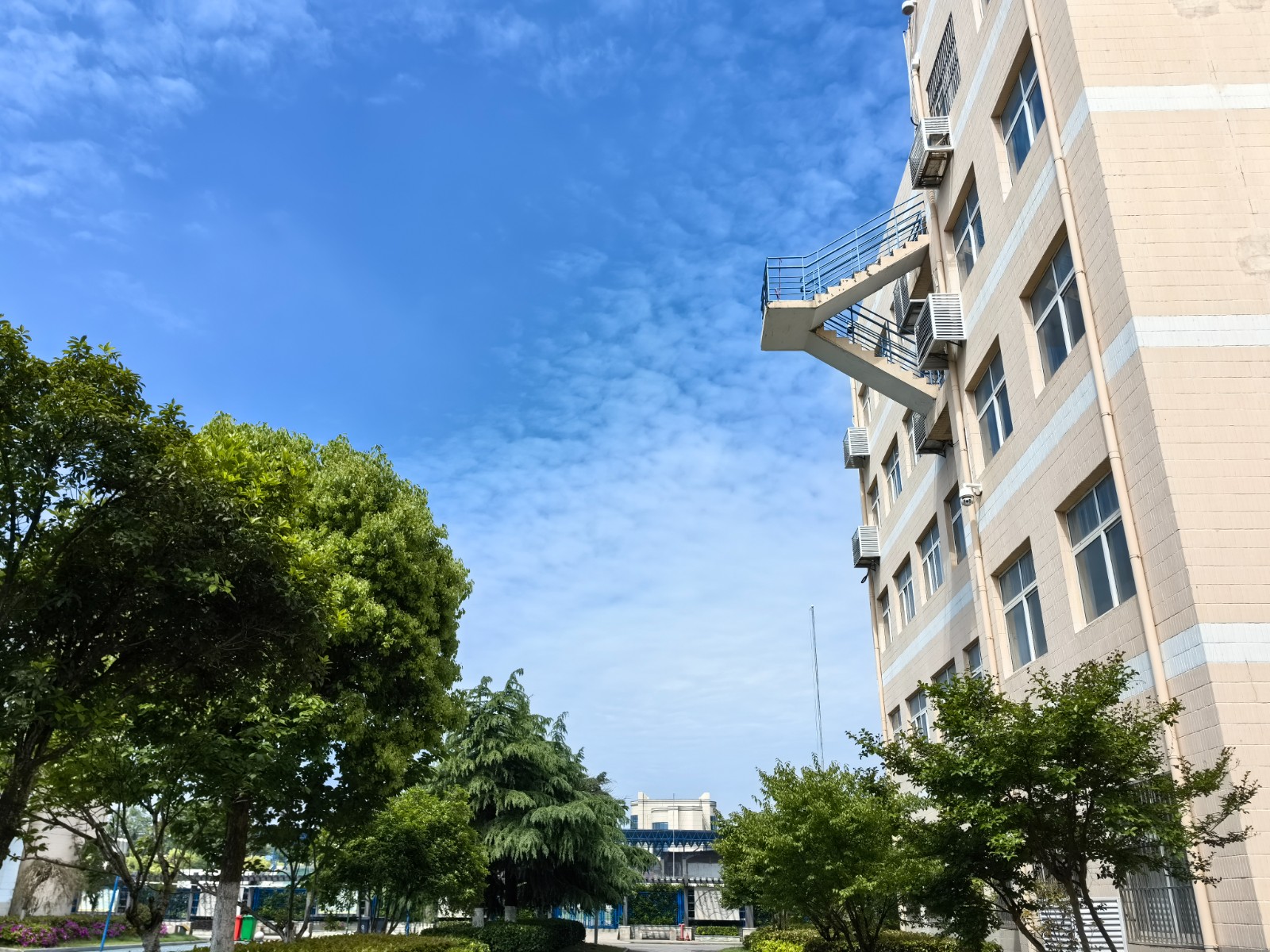 【百炼石苑 美丽校园】