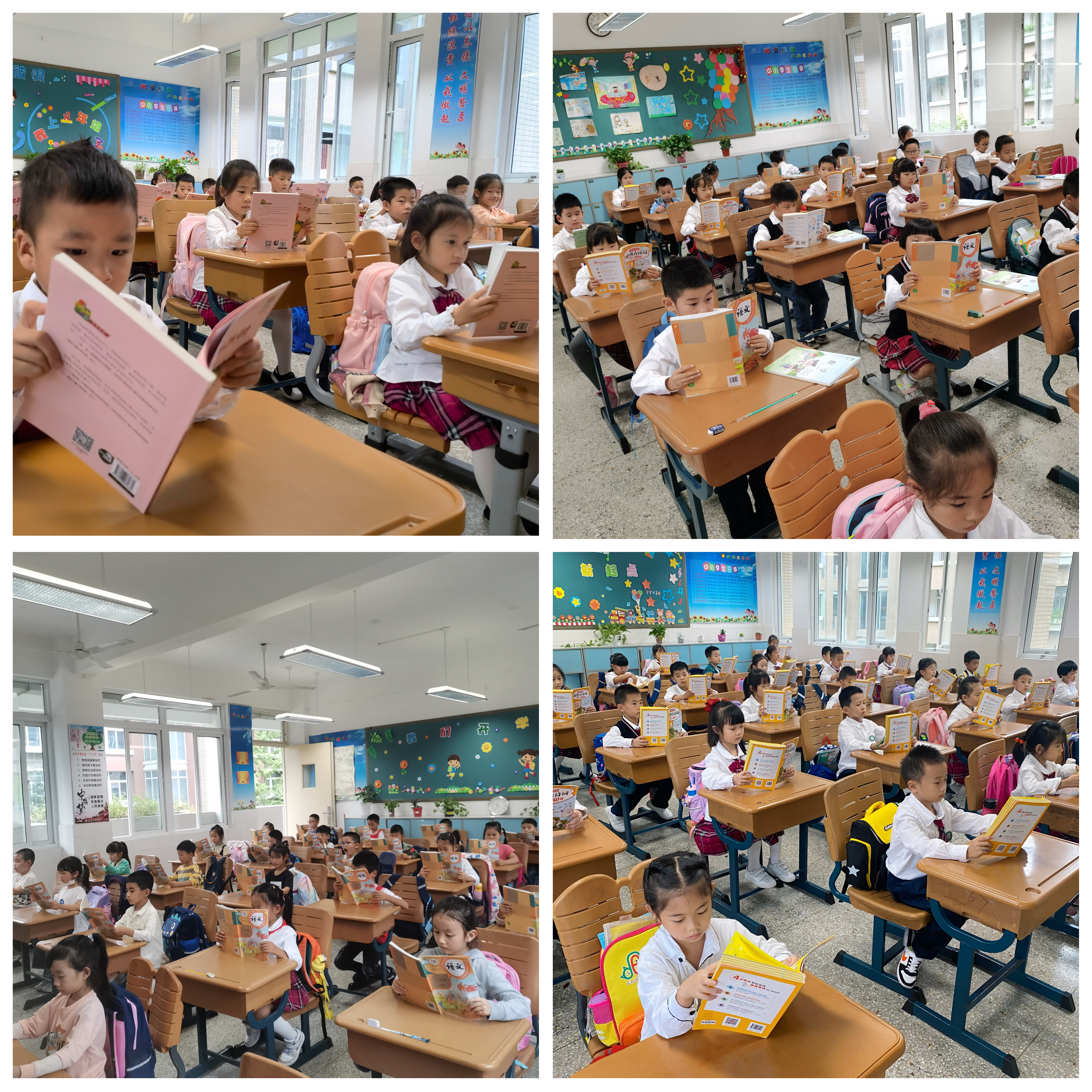 【花港一小】“悦读成习惯，书香润心灵”  花港一小十四届读书节系列活动（五）