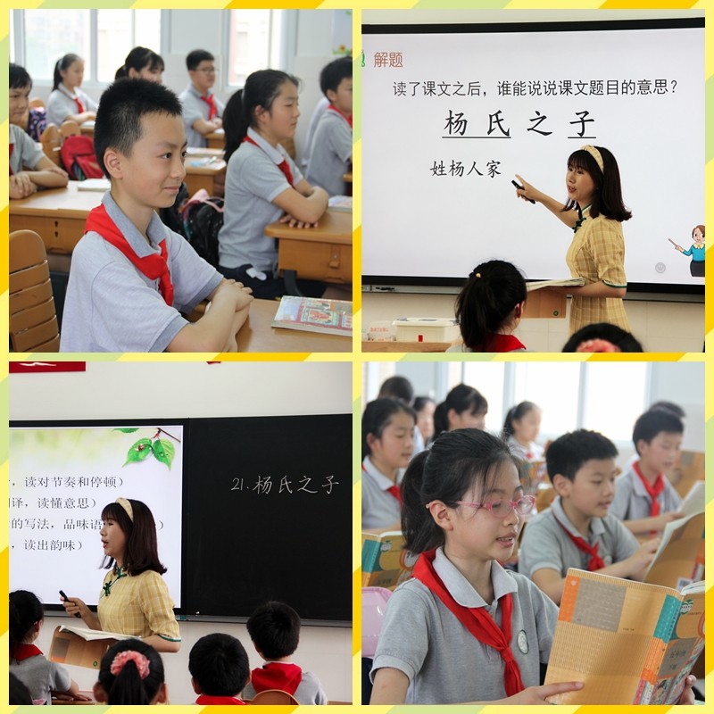 【花港一小】展花港教学风采,促教师专业成长