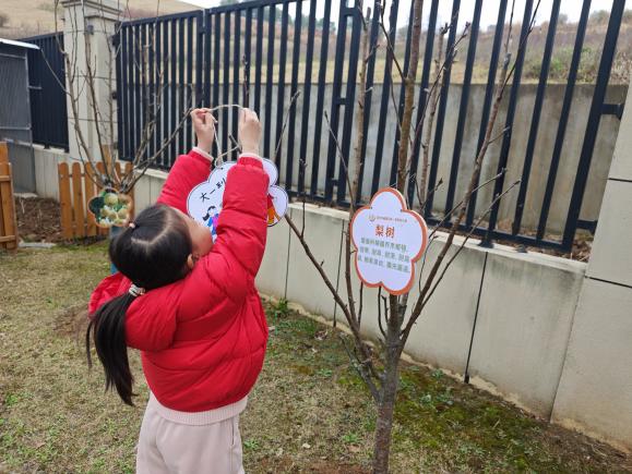 2025.3.12植树节活动_html_602557f2.jpg