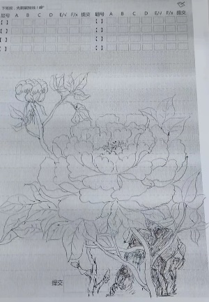 【纯正迈初·教学】教育数字化，赋能新课堂——点阵笔项目在迈初落地_html_m41a26460.jpg