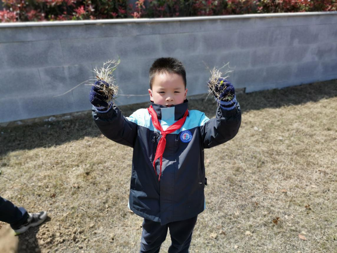 【正学丁三】劳动之花，灼灼其华_html_4a1d1188.jpg