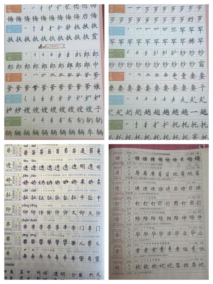 【正学丁三·教学】缤纷夏日，“语”你同行——南京市丁家庄第三小学四年级语文特色暑假生活展示_html_302d4d38.jpg