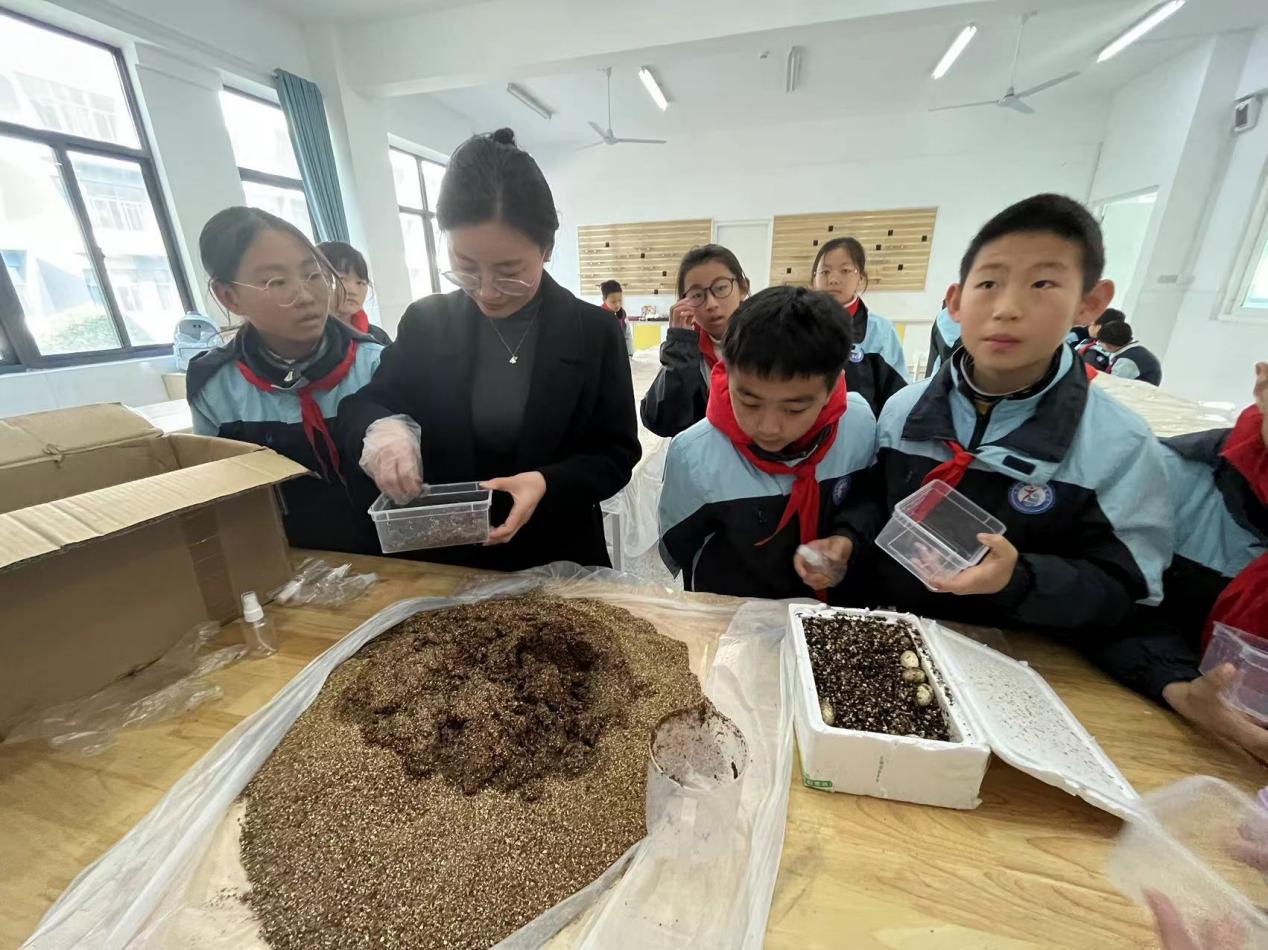 【正学丁三&middot;德育】历孵化旅程 悟生命真谛_html_m3fa5b348.jpg