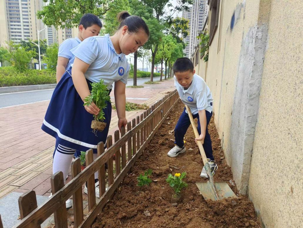 【正学丁三】金秋种梦想，农耕劳动美_html_dee5efe.jpg