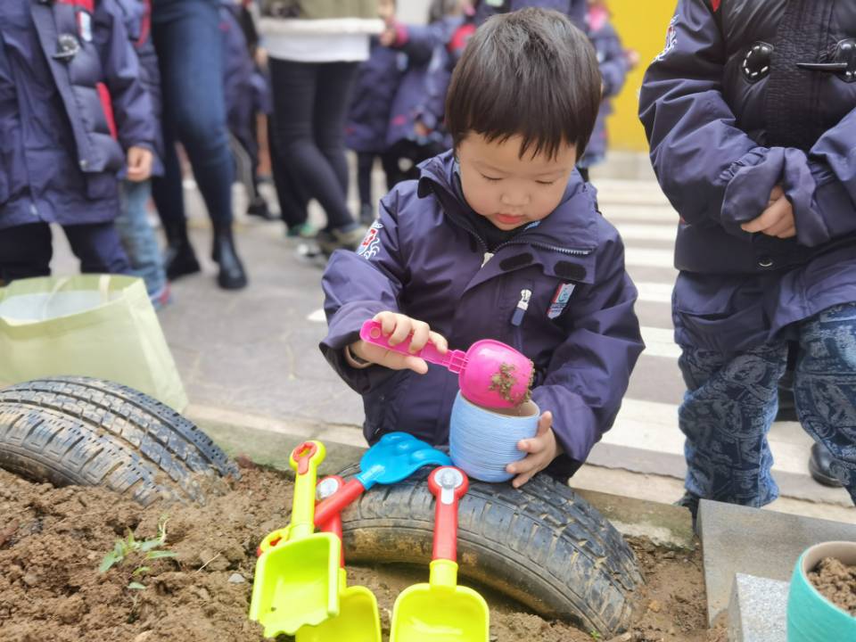 植树节_html_3c33cc04.jpg