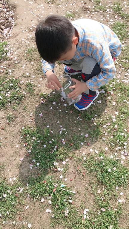 中一班春游新闻稿_html_m447611ec.jpg