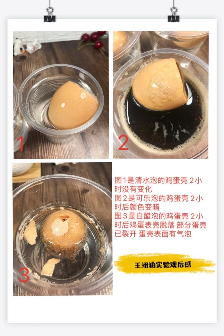 没有牙齿的大老虎新闻稿_html_40975eb6.jpg