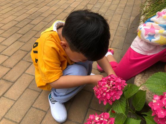 2020.6.5 高菲 芒种新闻稿_html_c8fb0e9.jpg