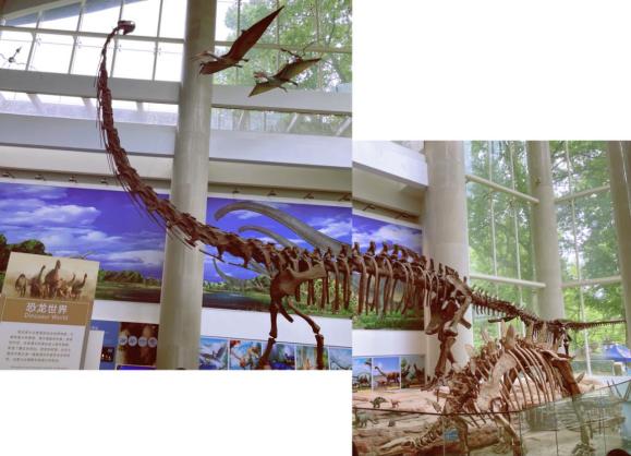 2021.5.6 杜晗 古生物博物馆_html_m4b7d334c.jpg