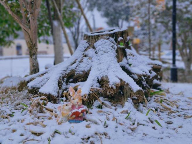 大雪纷纷寒潮至 扫雪防冻保安全12.19_html_5139f4d6.jpg