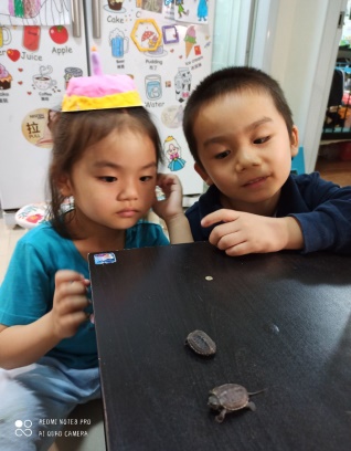 新闻稿111111111111_html_m3ac64c1b.jpg