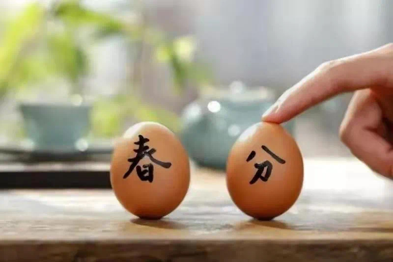 2022.3.16【生命迈幼·校园新闻】云上相约 “童”样精彩(1)_html_75f668e9.jpg
