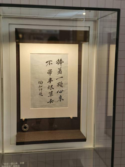 三园2023.11.8主题活动报道_html_6bd49712.jpg