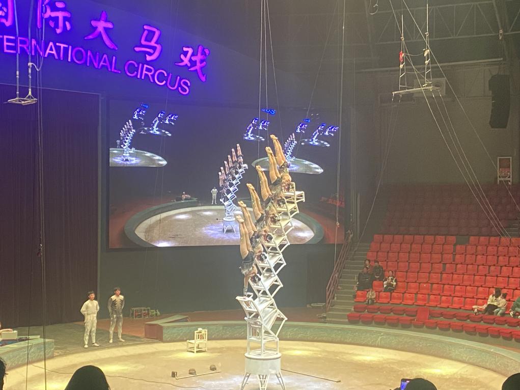 【生命迈幼 花样童年】踏春而行 不负春光-记迈幼三分园紫清湖野生动物园春游之旅_html_3443cf18.jpg