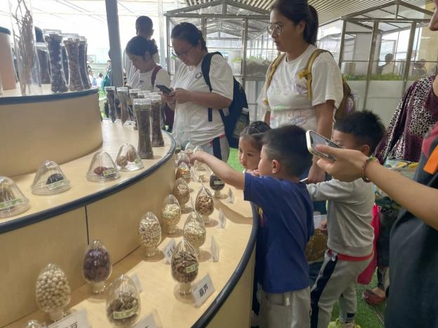 定稿：【生命迈幼·留住“秋”迹】探秘秋日，悦享秋游——迈幼嘉誉山分园秋游活动 (修改)_html_m5d08cabe.jpg