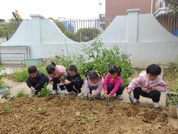 2023.5.29““植”此春绿 乐享耕趣” ——种植团活动_html_m63beaf1e.jpg