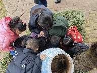 20240305中二班惊蛰节气活动_html_m7aadbb4f.jpg