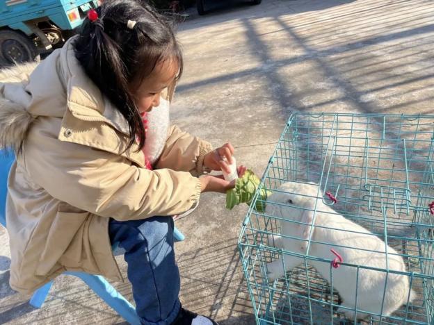20240220【生活燕幼·园区动态】“新年齐动手，劳动乐无穷”——幼儿寒假日常生活劳动实践活动_html_m6751ee02.jpg