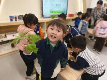 20240403【生活燕幼·园区动态】“浸润童心 情忆清明”——舌尖上的节气之清明_html_8ecc191.jpg