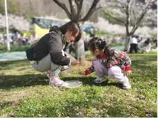 20240329 【生活燕幼&middot;园区动态】春天不是读书天——小桃子研学活动_html_m20bcf1ab.png