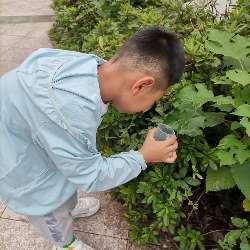 20230908 【生活燕幼•班级动态】  燕幼中心园：“白露秋分夜，一夜凉一夜”_html_5e2d12cc.jpg