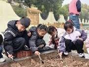 20250312植树节活动_html_30f9f474.jpg